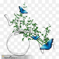 ������ɫ��֦����Ư��-������