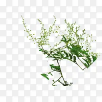 ���������-������