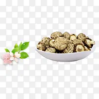 鲜蘑-空若网 鲜蘑-空若网