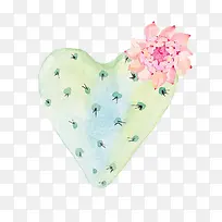 爱心形仙人掌-空若网 爱心形仙人掌-空若网