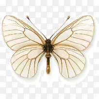 ����ʸ��Ч��ͼ-������