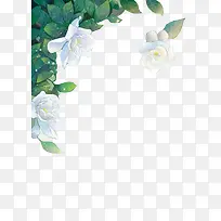 白色植物花朵星点-空若网 白色植物花朵星点-空若网