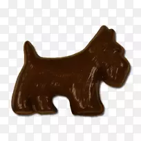 狗,鼻子,食肉动物-情人节-空若网 狗,鼻子,食肉动物-情人节-空若网