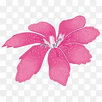 �ֻ��Ͼ�-������