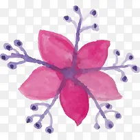 ��ɫˮ��С��-������