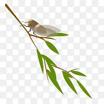 ֪��PNG-������