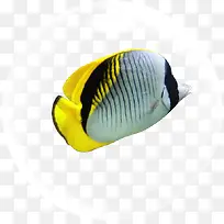 ��Ӱ��������������-������