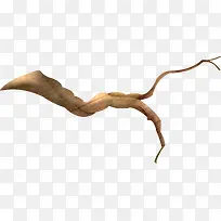 手绘棕色树枝-空若网 手绘棕色树枝-空若网