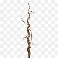 �ֻ��֦-������