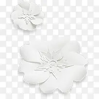 白色荷花造型-空若网 白色荷花造型-空若网