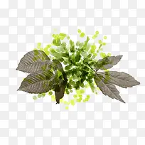 Ë®²Ê»ÔÓ»¨Êø-¿ÕÈôÍø Ë®²Ê»ÔÓ»¨Êø-¿ÕÈôÍø