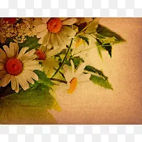 �ջ�����-������