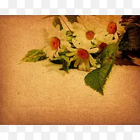 复古菊花背景-空若网 复古菊花背景-空若网