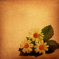 �ջ�����-������