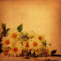 ���ձ���-������