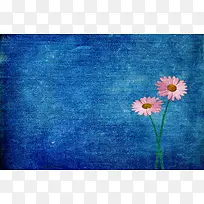 ��������ֲ�ﱳ��-������