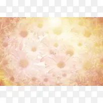 怀旧菊花花朵背景-空若网 怀旧菊花花朵背景-空若网