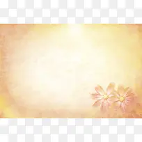 ���ɳ��ձ����߿�-������