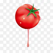 新鲜矢量西红柿-空若网 新鲜矢量西红柿-空若网