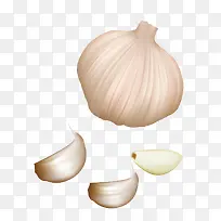 矢量白色大蒜头-空若网 矢量白色大蒜头-空若网