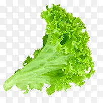 ʵ����ɫ��������-������