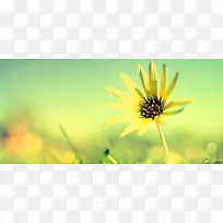 小清新静物简约时尚背景-空若网 小清新静物简约时尚背景-空若网