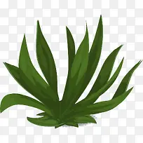 绿色海草植物-空若网 绿色海草植物-空若网