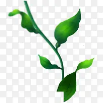 绿色海草-空若网 绿色海草-空若网