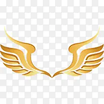 �ſ��ĳ��ʸ��-������