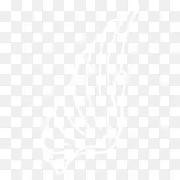 翅膀-空若网 翅膀-空若网