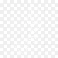 翅膀-空若网 翅膀-空若网