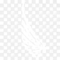 翅膀-空若网 翅膀-空若网