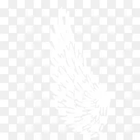 翅膀-空若网 翅膀-空若网