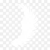 翅膀-空若网 翅膀-空若网