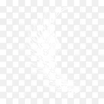 翅膀-空若网 翅膀-空若网