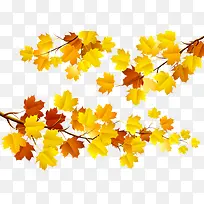 秋天树枝-空若网 秋天树枝-空若网