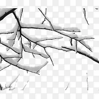 ·ç¾°Ê÷Ö¦ºÍÑ©-¿ÕÈôÍø ·ç¾°Ê÷Ö¦ºÍÑ©-¿ÕÈôÍø