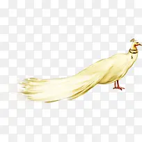 ��ɫ��ȸͼ-������