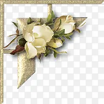 白色玫瑰边角-空若网 白色玫瑰边角-空若网