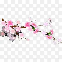 粉白色梅花树枝素材-空若网 粉白色梅花树枝素材-空若网