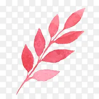 Ë®²Ê»Ò¶×Ó-¿ÕÈôÍø Ë®²Ê»Ò¶×Ó-¿ÕÈôÍø