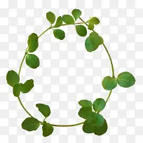 С���� Ψ�� �ֻ� ˮ�ʻ�  Ҷ��-������