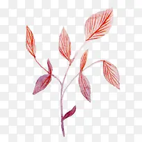 水彩画叶子-空若网 水彩画叶子-空若网