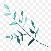 Ë®²Ê»Ò¶×Ó-¿ÕÈôÍø Ë®²Ê»Ò¶×Ó-¿ÕÈôÍø