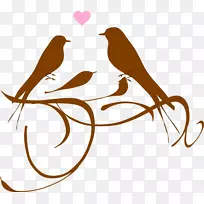 �������ɴ������-������-������