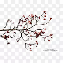 树枝秋剪贴画-爱情树-空若网 树枝秋剪贴画-爱情树-空若网