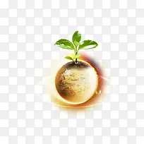 茁壮成长的树-空若网 茁壮成长的树-空若网