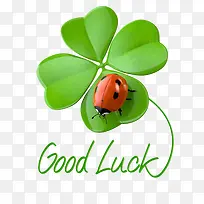 幸运四叶草-空若网 幸运四叶草-空若网