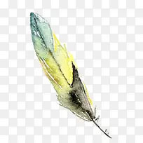 彩色羽毛-空若网 彩色羽毛-空若网