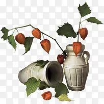 花瓶树枝素材免抠-空若网 花瓶树枝素材免抠-空若网